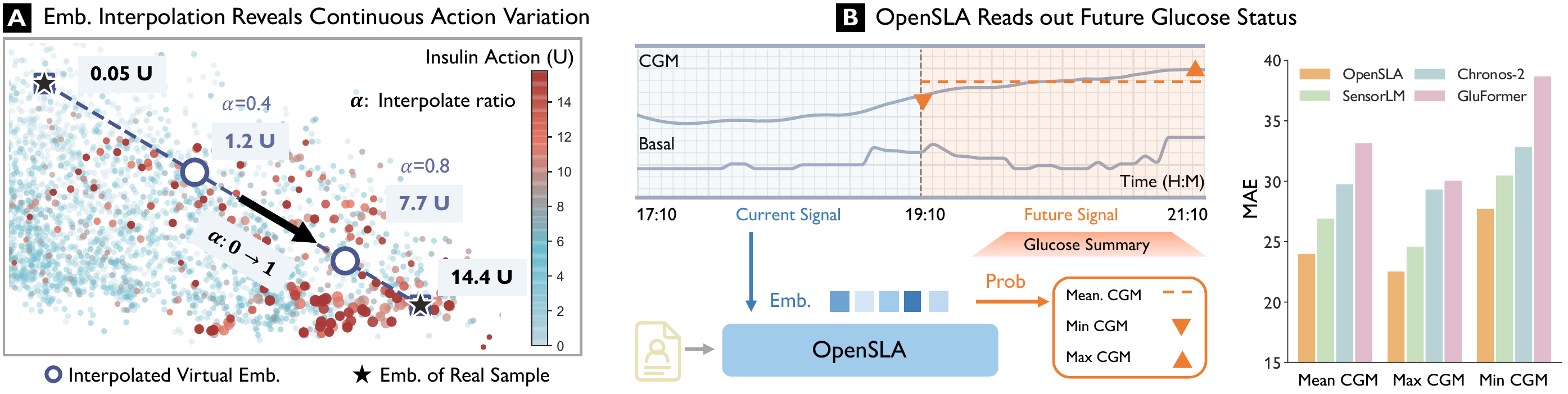 (A) Interpolating between the embeddings of two real samples (0.05 and 14.4 units of insulin) and retrieving the nearest real sample at each point gives 1.2 units at alpha 0.4 and 7.7 units at alpha 0.8. (B) The embedding of the current CGM window is read out into a future-state summary; mean absolute error over the next two hours is lowest for OpenSLA.
